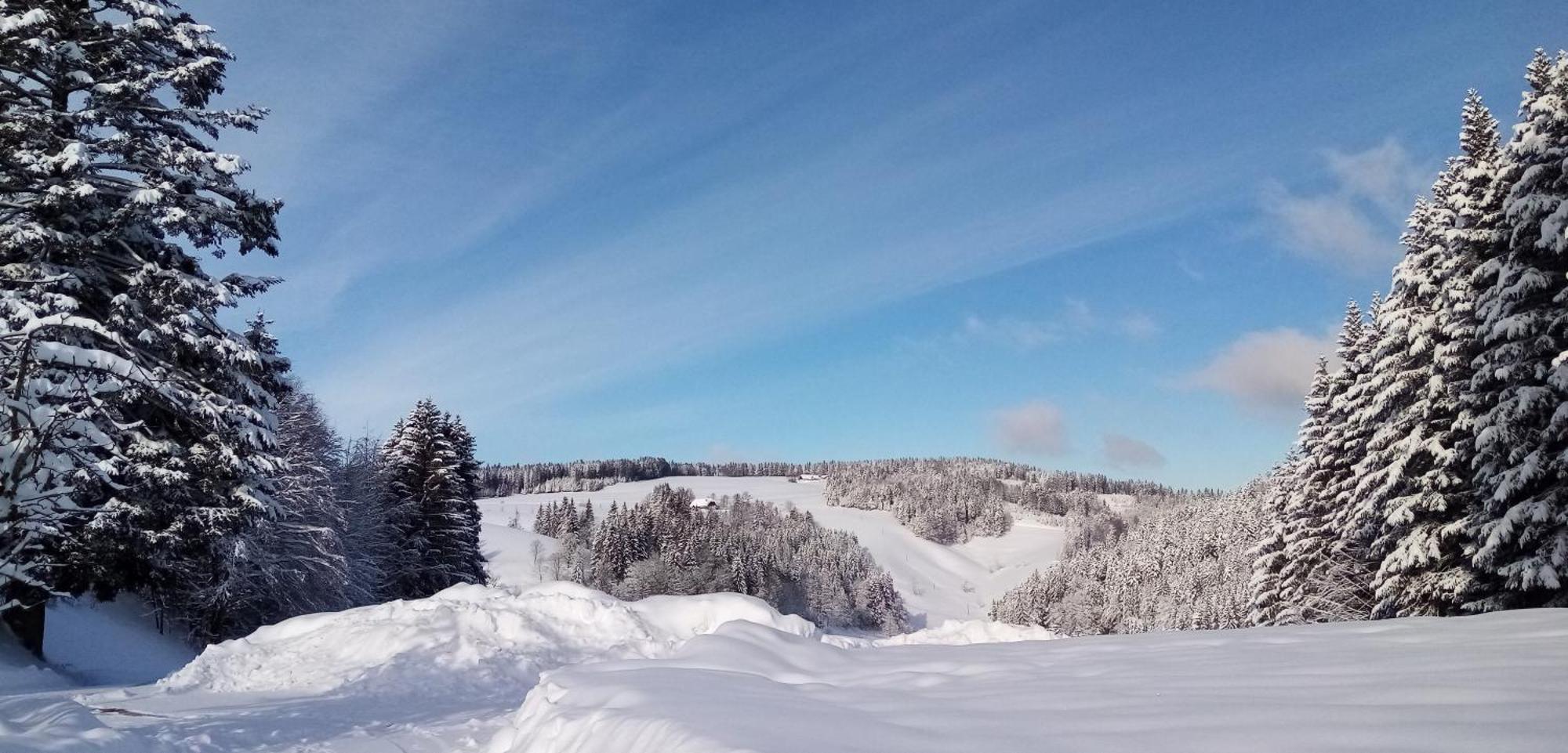 Schreinerhaeusle Naehe Titisee Himmelreich Экстерьер фото