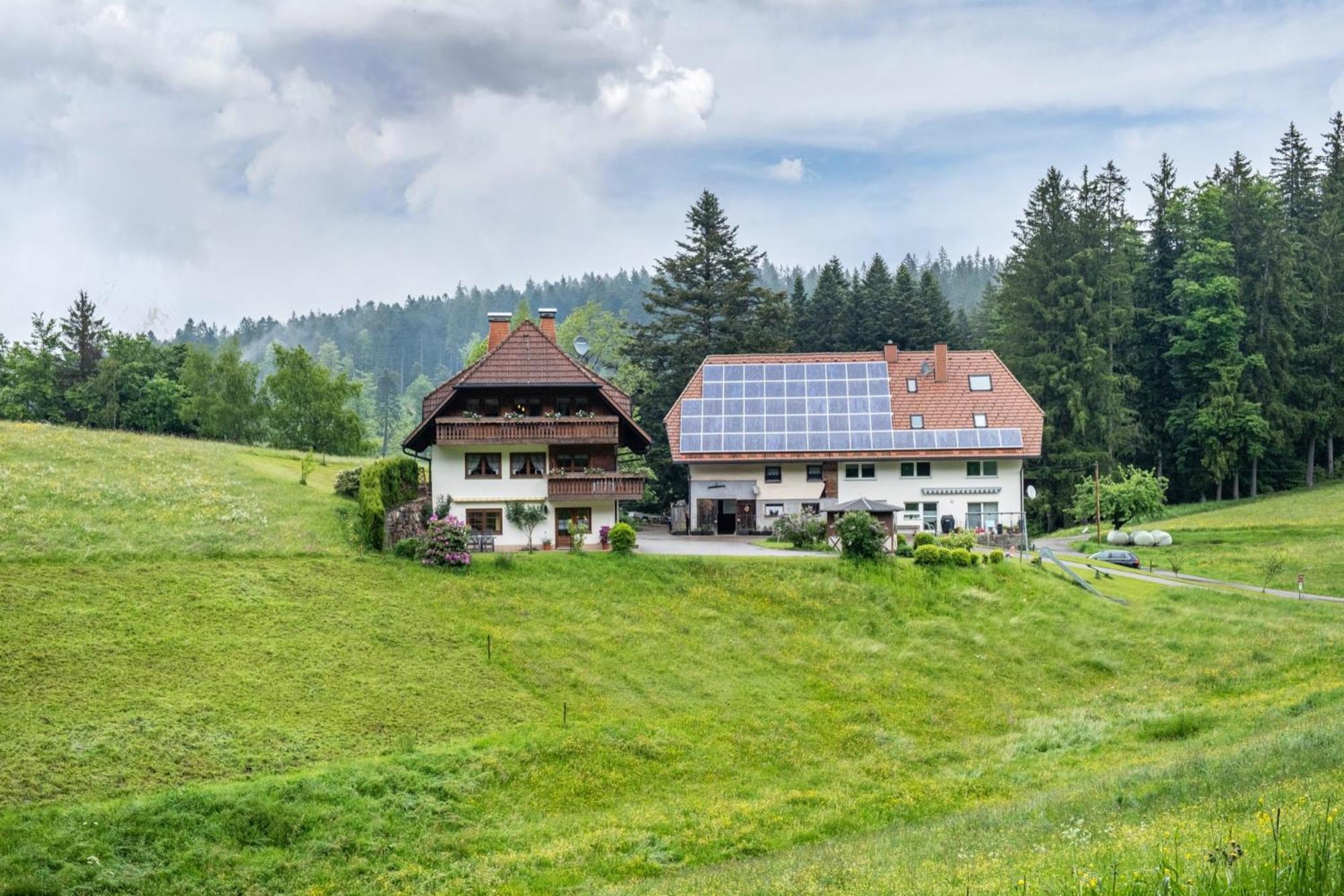 Schreinerhaeusle Naehe Titisee Himmelreich Экстерьер фото