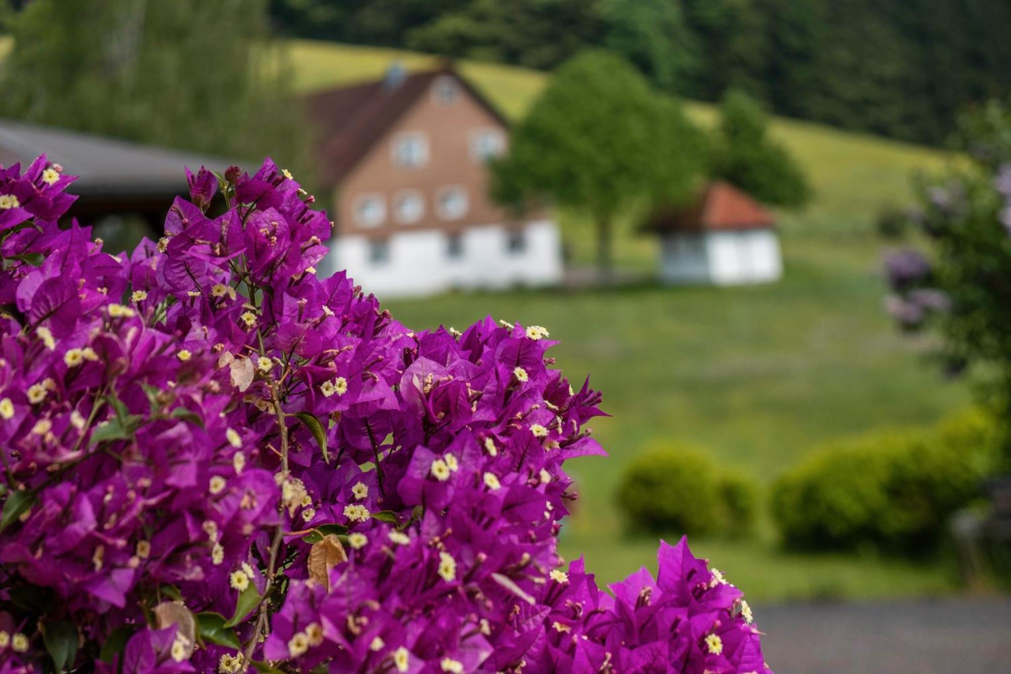 Schreinerhaeusle Naehe Titisee Himmelreich Экстерьер фото